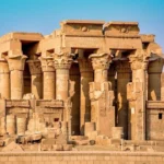 Gallery Thumbnail 10