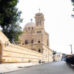 Gallery Thumbnail 14