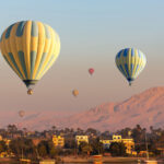 Gallery Thumbnail 4