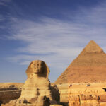 Gallery Thumbnail 11