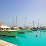 Gallery Thumbnail 6